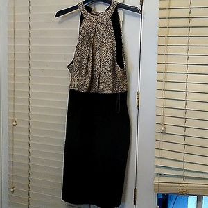 Dreamy size 14 leopard print.